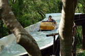 Log flume ride in the woods