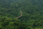 Massive funicular railway racing upwards through the jungle