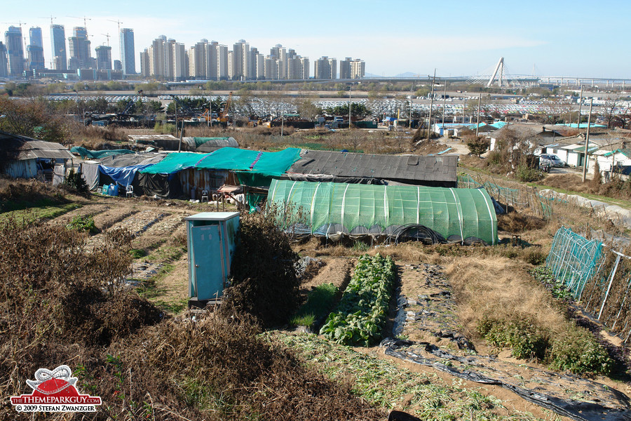 New Songdo City in the background