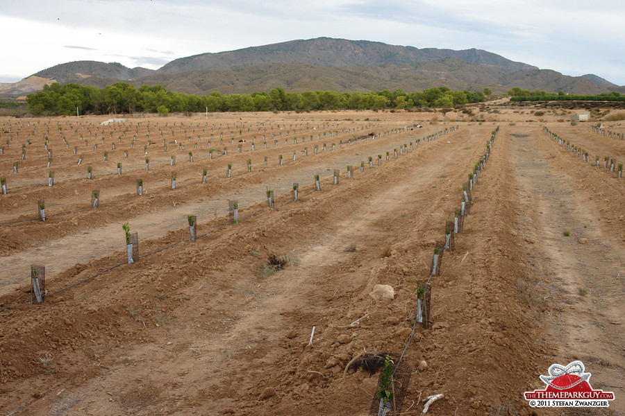 The exact spot of the proposed Paramount Park Spain