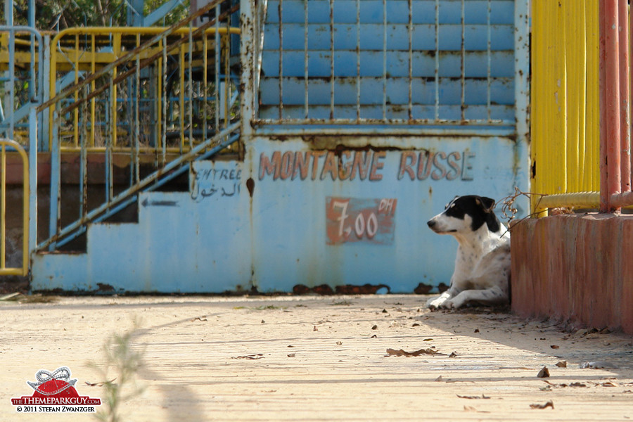 Lethargic Sindibad watchdog