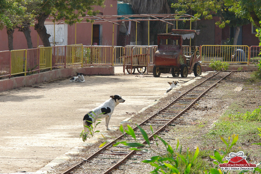 Watchdog siesta