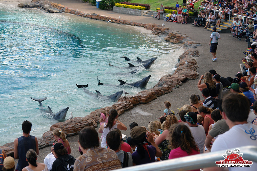 Sea World Australia - photographed, reviewed and rated by The Theme