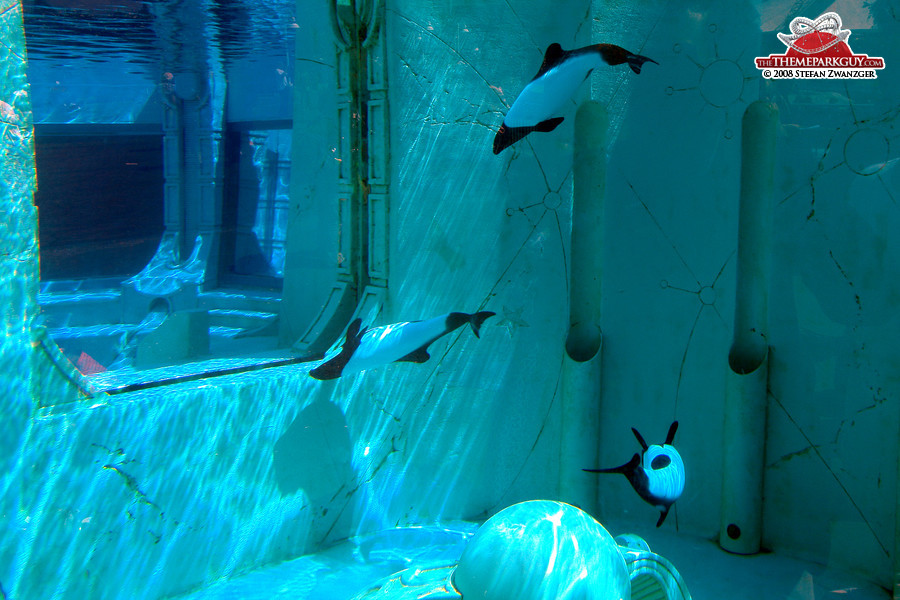 SeaWorld features some wonderful aquariums