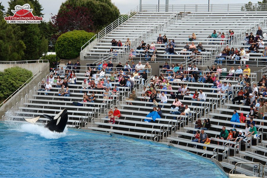 SeaWorld's signature killer whale show