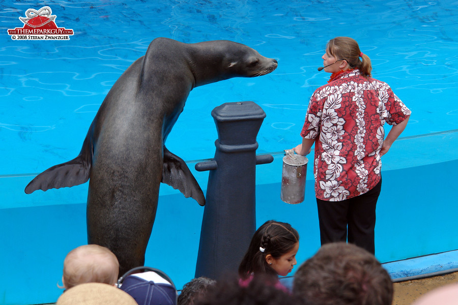 Sea lion in talks with the trainer