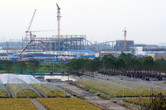 The structure rising on the right of the Tron coaster is the Disneyland castle