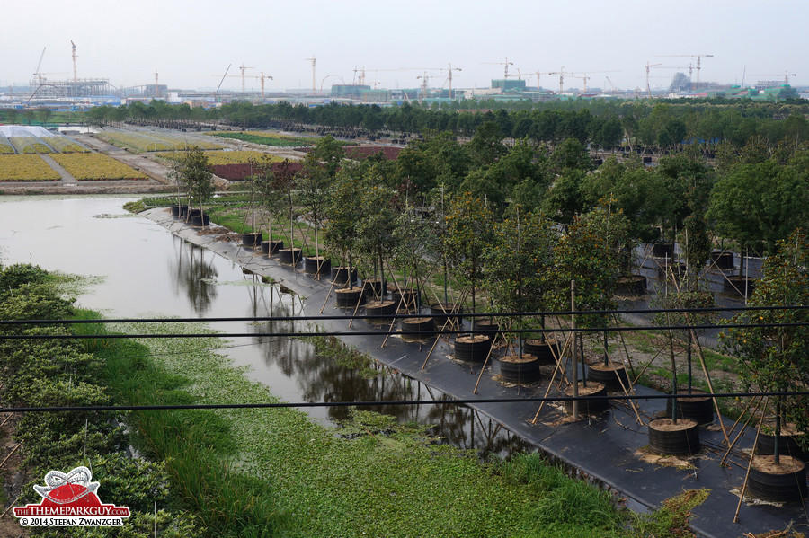 View from south of the Shanghai Disney lake