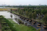 View from south of the Shanghai Disney lake