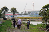 Farmers with Tron coaster