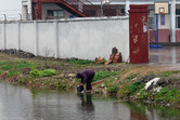 Water from the canal