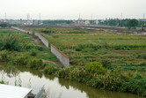 The Great Wall of Disney runs through the neighborhood