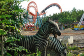 Coaster, construction and plastic zebras