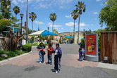 Six Flags scene