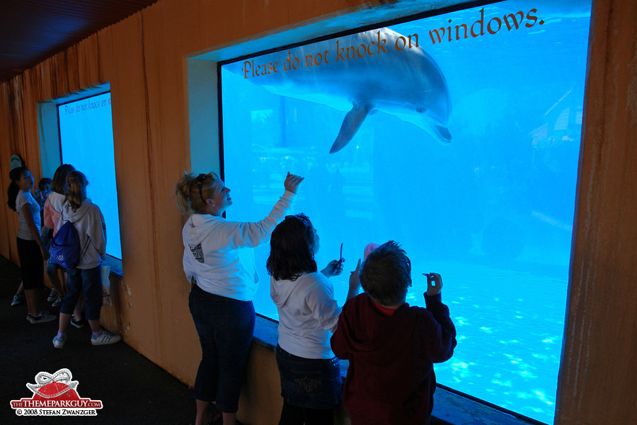 Dolphin aquarium