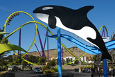 Roller coasters and killer whales