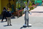 Bugs Bunny in action