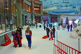 Ski Dubai visitors