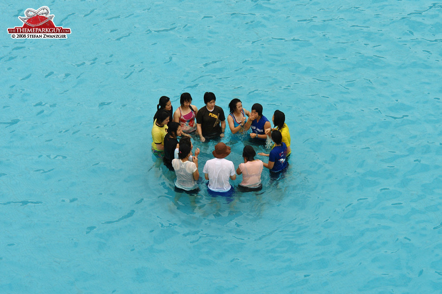 Group in the pool