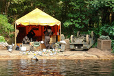 Monkeys in the Jungle Cruise