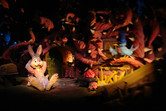 Splash Mountain dark ride sections