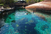 Artificial snorkeling reef