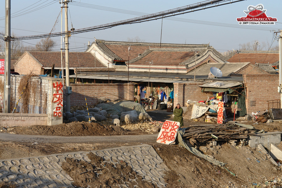 Dwellings on location