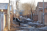 Village in Beijing's Tongzhou suburb