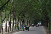 Charming countryside roads