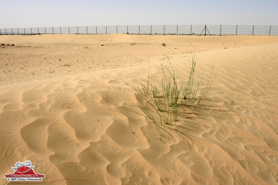 In the middle of the barren desert: