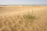 In the middle of the barren desert: