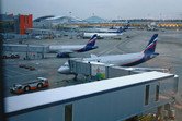 Moscow Sheremetyevo Airport with new Aeroflot fleet parked