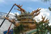 Baobab tree opposite Madagascar ride