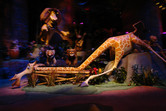 Animatronics inside the Madagascar Ride