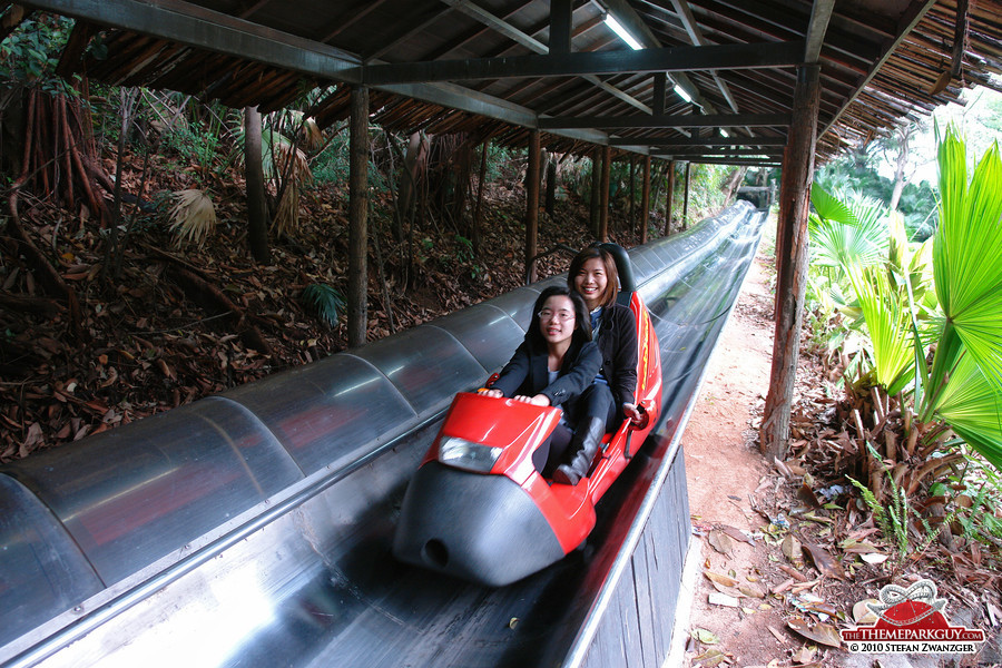 Bobsled ride through the jungle