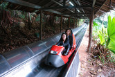 Bobsled ride through the jungle